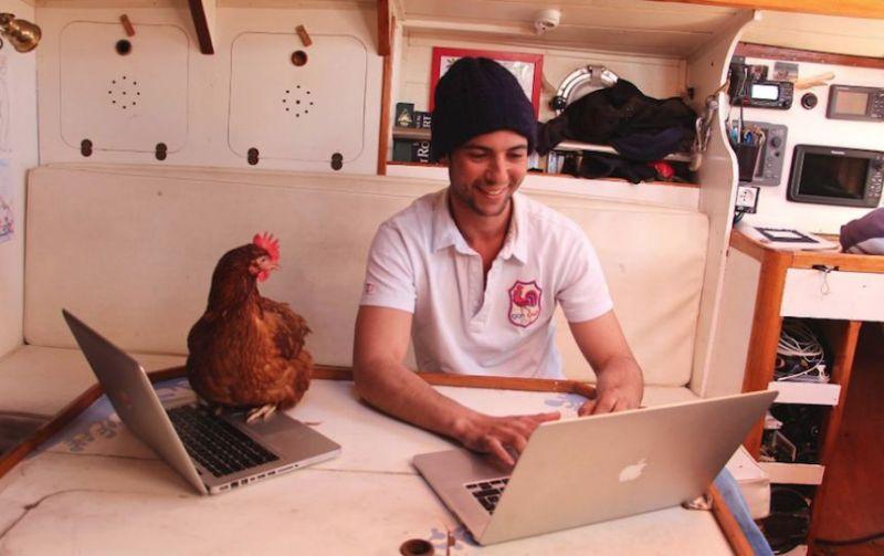 Француз путешествует по миру в компании курицы