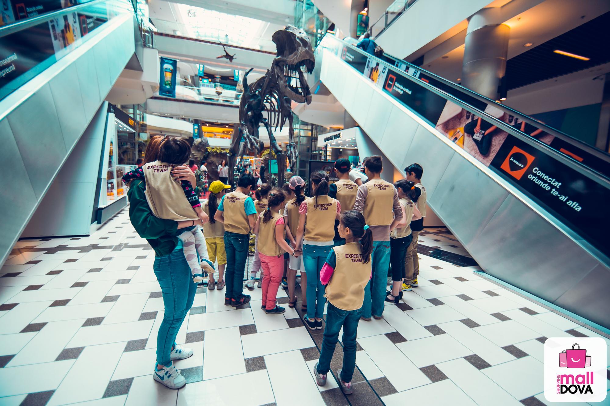 10 любопытных фактов о динозаврах для твоего ребенка