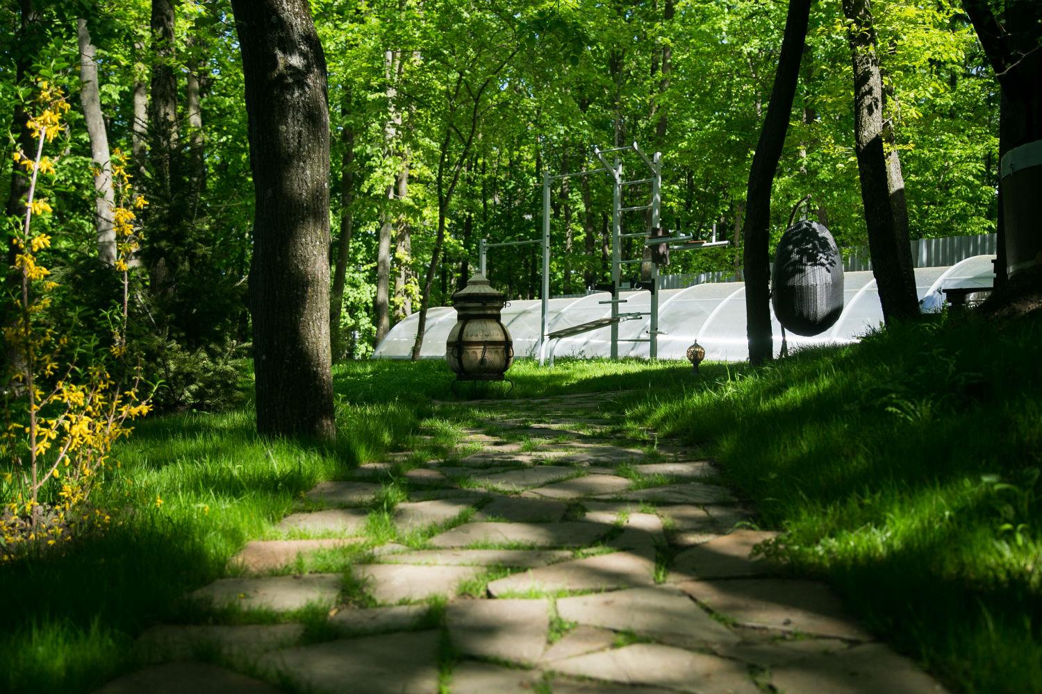 Лесная сказка: эко-садик в Дурлештском лесу