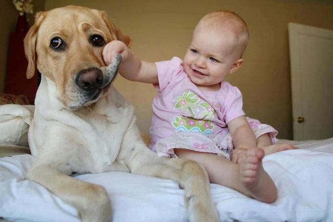Copii mici și câinii lor mari