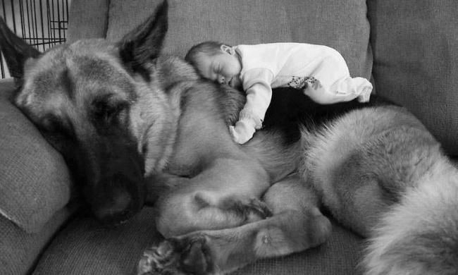Copii mici și câinii lor mari