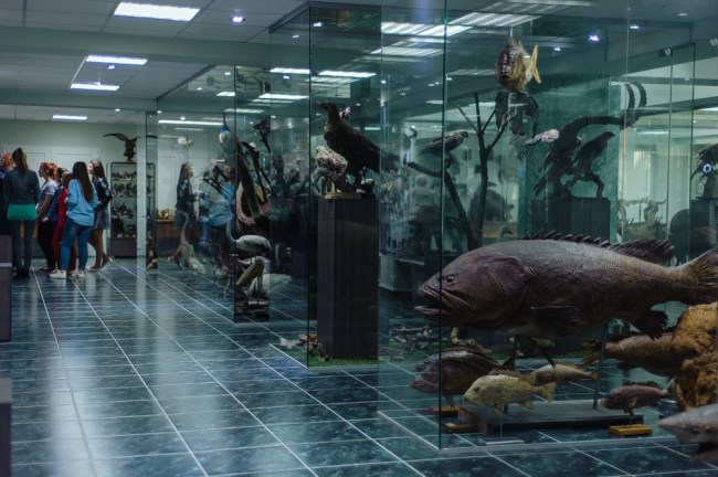Кишинёвский всемирно известный музей, в котором хранятся более 10000 экспонатов