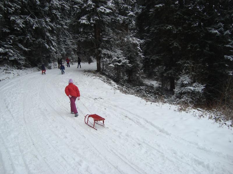 Снежные трассы в Молдове. Где можно покататься на санках с детьми