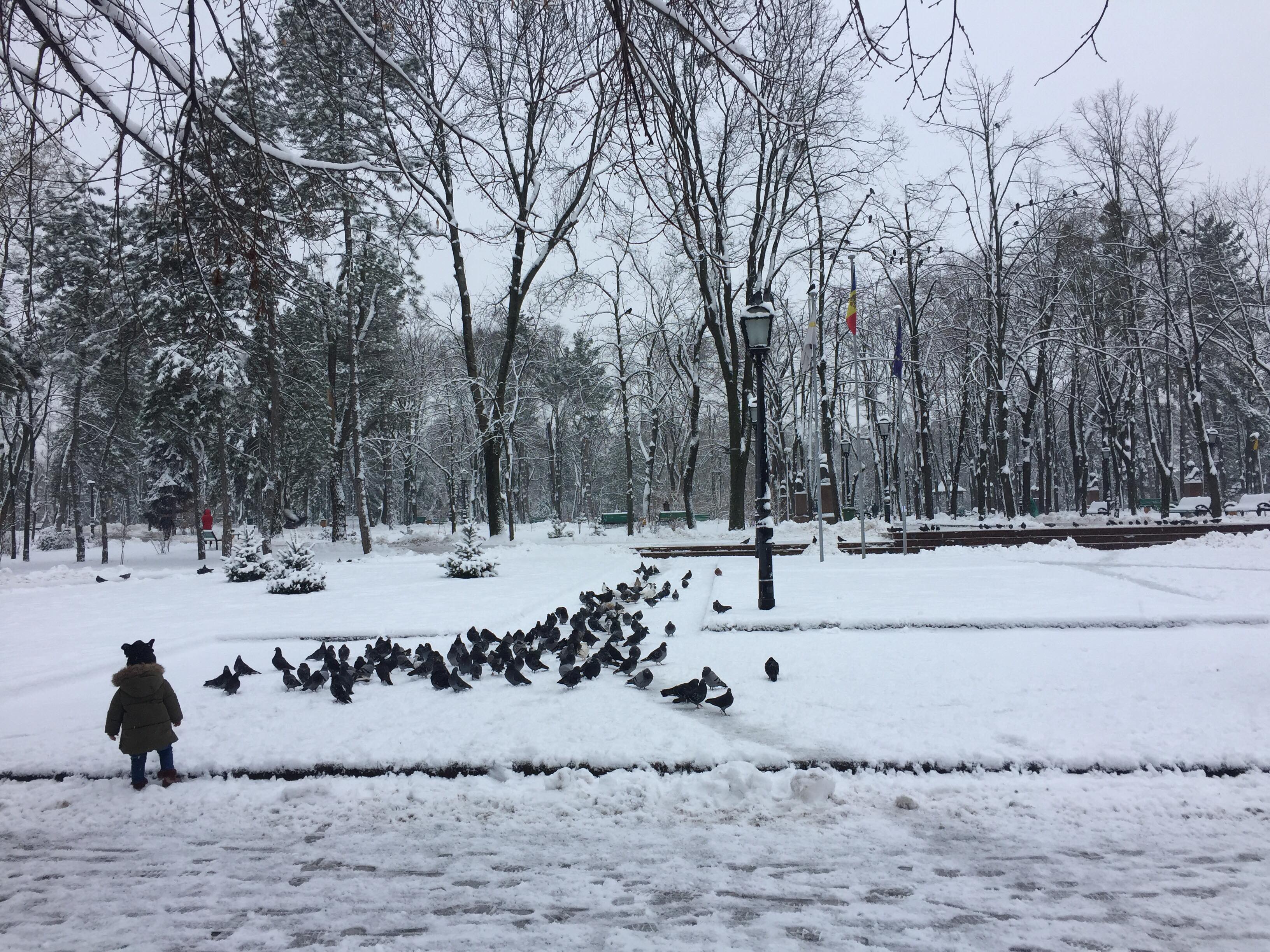 Погода в Молдове: точный прогноз на 17 и 18 февраля
