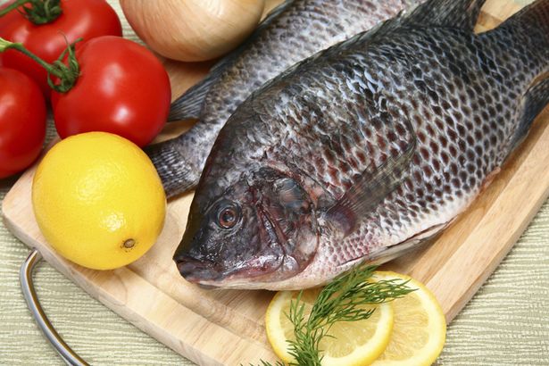 Не ешьте эти 9 видов рыбы!