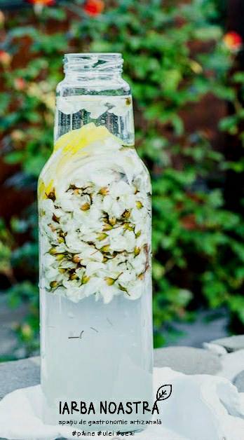 Băutură răcoritoare din flori de salcâm de la Natalia Matiescu