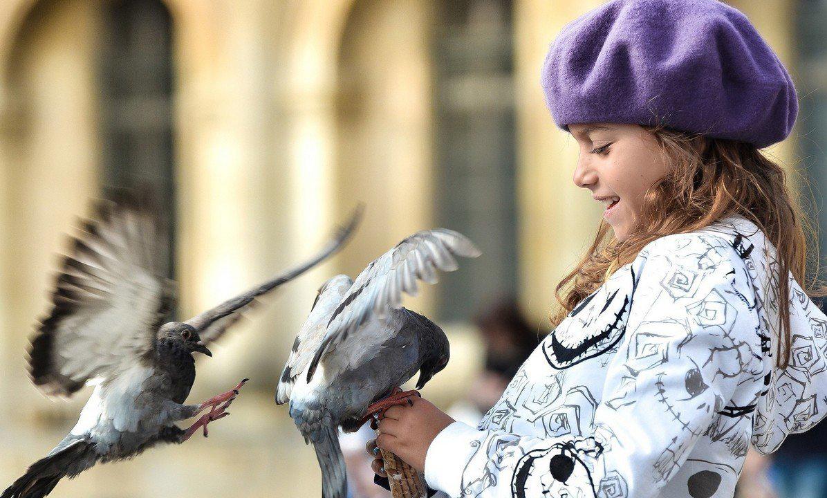 Можно ли ребенку кормить голубей и уличных кошек