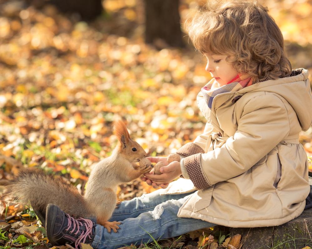 Можно ли ребенку кормить голубей и уличных кошек