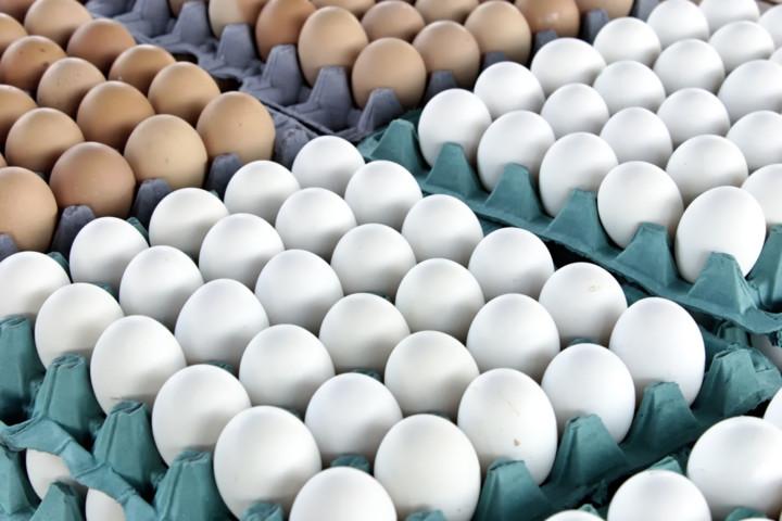 Что вы не знали о яйцах. 6 интересных фактов