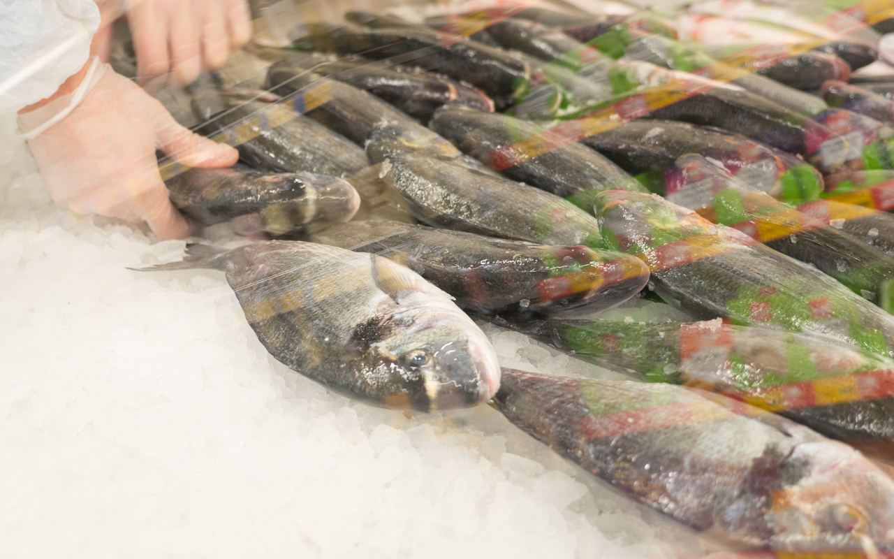 Ocean Fish открыл в Оргееве магазин морепродуктов, привезенных со всего мира