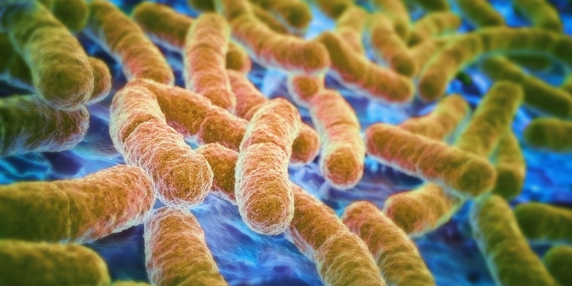 Хорошие бактерии в кишечнике контролируют наши гены