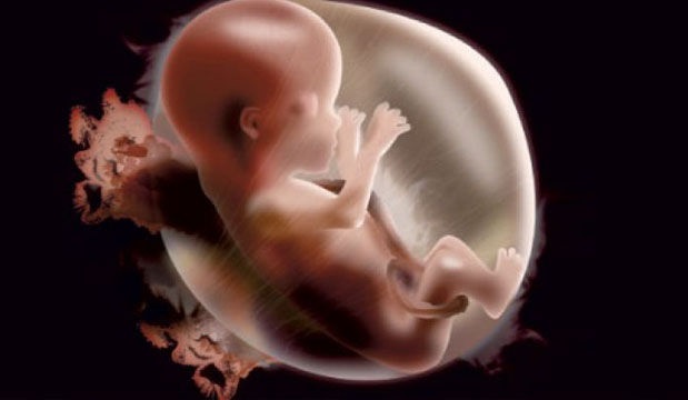 Врачи: младенцы испытывают сильные боли во время аборта