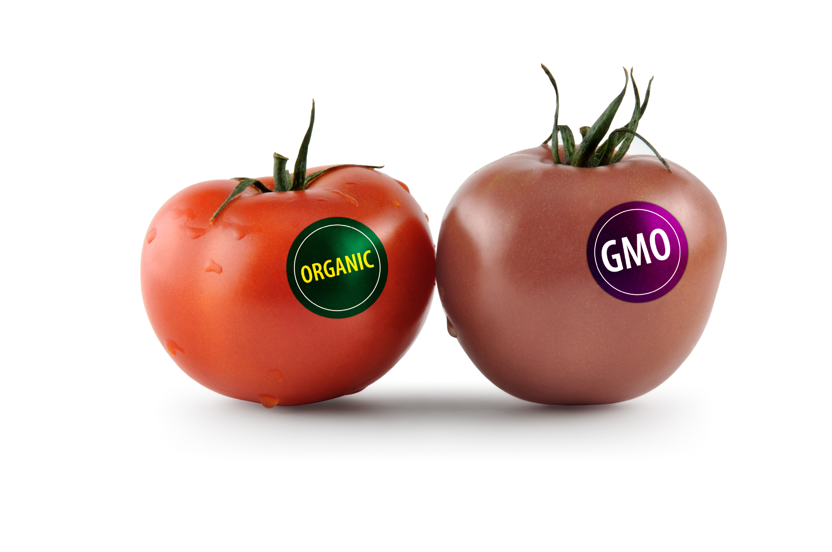 Produsele alimentare modificate genetic - argumente pro, contra, pericole