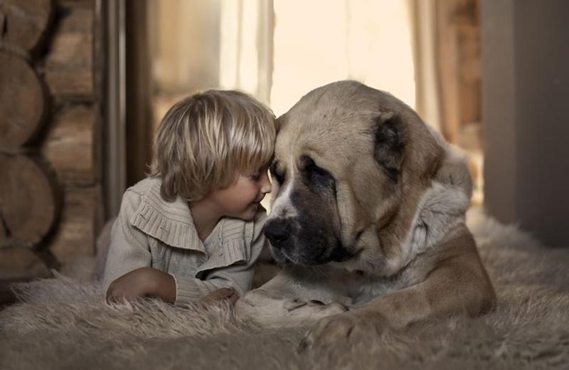 Poze minunate cu câini mari care au grija de copii. Emoții curate!