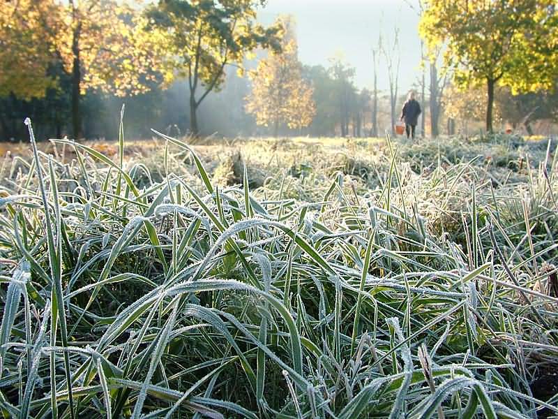 В Молдове ожидаются заморозки до минус двух градусов