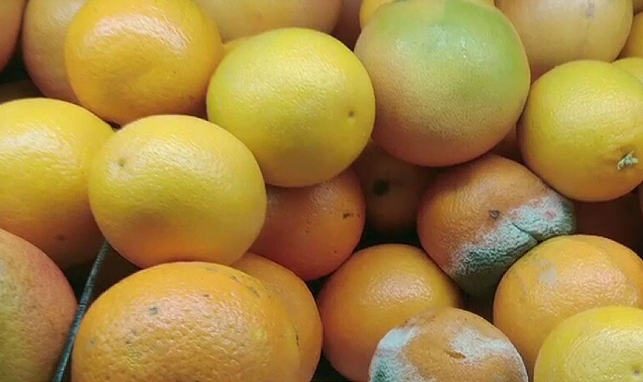 В Кишиневе продают апельсины с плесенью
