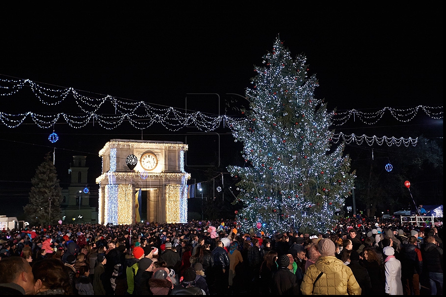 Главную новогоднюю елку Кишинева в этом году установят на пешеходной улице