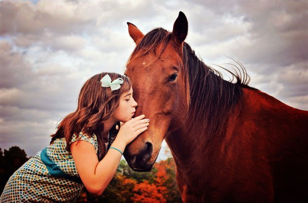 Где можно покататься на лошадях с детьми? Обзор предложений в Кишиневе