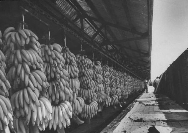 Банановый магнат Сэмюэл Земюррей — родом из Молдавии